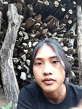 Hoa-tuylip Show in webcam