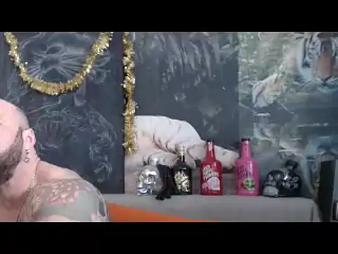 Show Webcam de viking_30