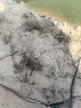 แชท XXX สดของ PolarFriend0