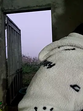 yoowwmr: вебкам-шоу