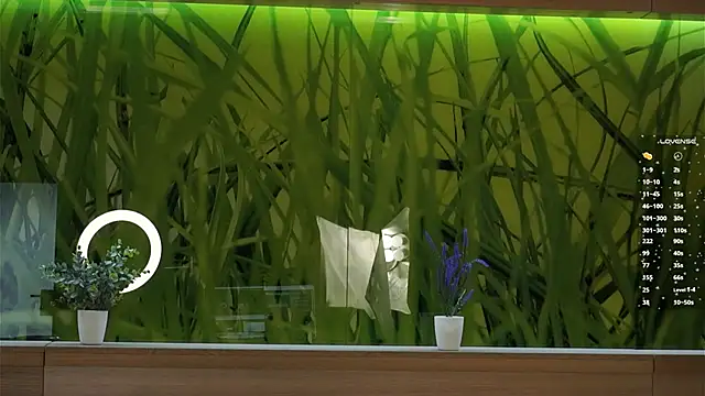 Sembang XXX Secara Langsung ElmaSmallman