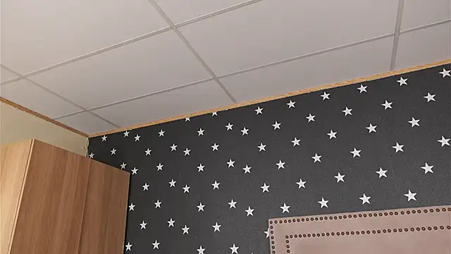 RaquellStar Pertunjukan Webcam