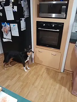 Živý XXX chat BubblegumCj