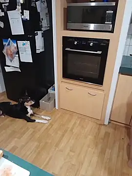 Chat +18 de BubblegumCj ao vivo