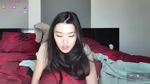 Chat +18 de shachatteof ao vivo