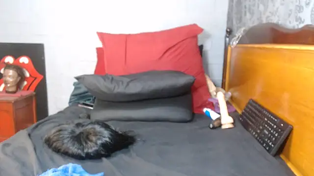 BOOTYDIVAXXX 现场XXX聊天