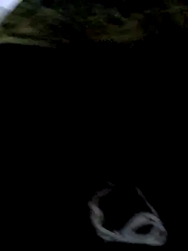 aman4404 网络视讯表演