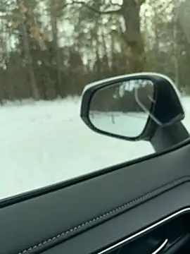 DickInTheWild Webcam show