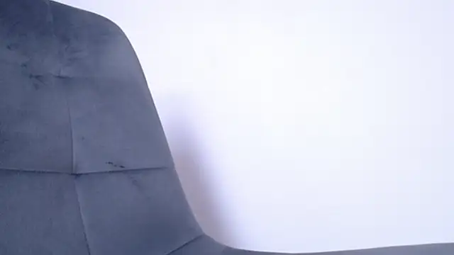 Show webcam de alice_inspires