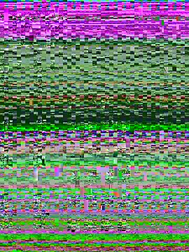 แชท XXX สดของ shanel_taylor