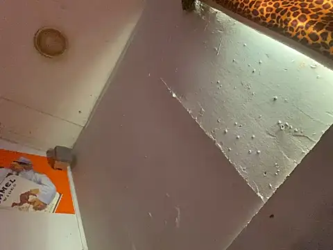 jcwxt webkamerás műsora