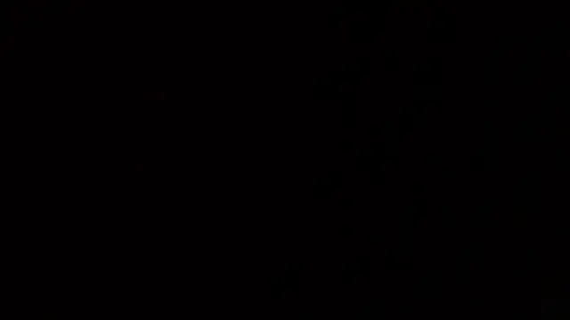 nova_salvatoreのライブXXXチャット