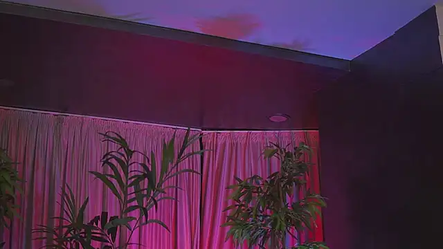 HotBustyBabeX Live XXX Chat