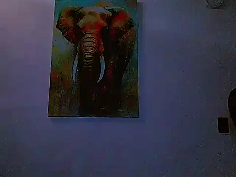 Pokazy przed kamerką – gabriel_spy12