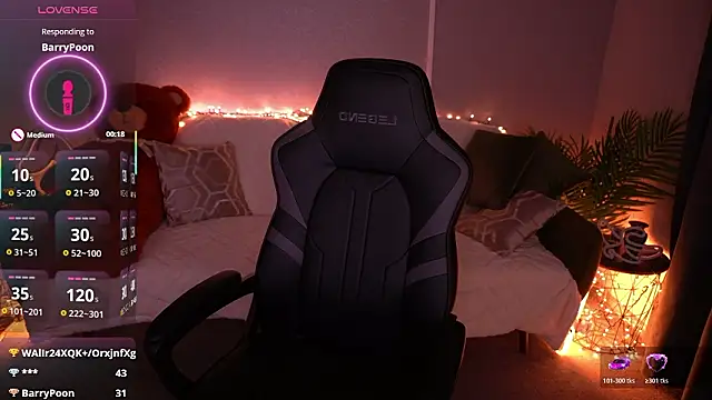 Show modela MilaSecrett na web-kameri