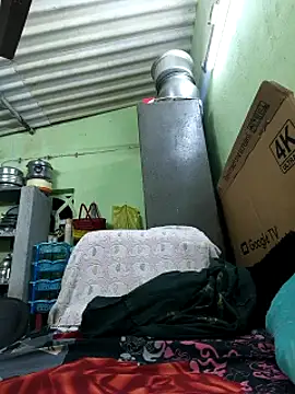 Tamilselviroja- Pertunjukan Webcam