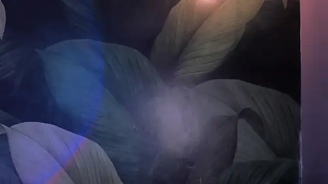 sweett_dirty Chat XXX live