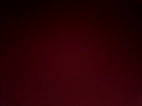 FiscalMiscount Webcam show