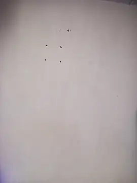 Вебкам-шоу _aish_a