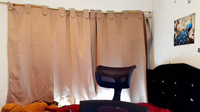 jimmy_class Pertunjukan Webcam