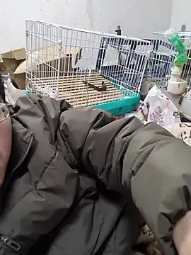 youheikun Pertunjukan Webcam