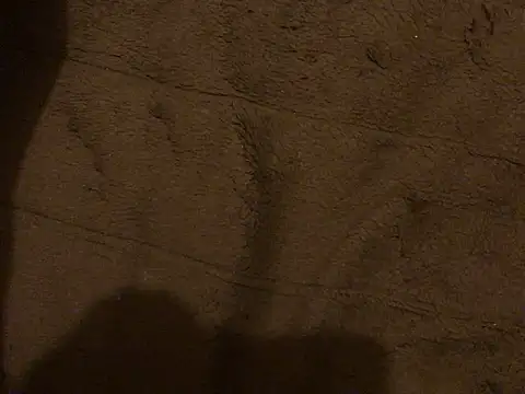 omonaka webkamerás műsora