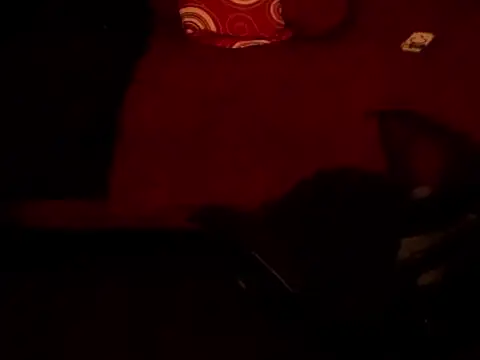 عرض كام BEMYPROPERTYx