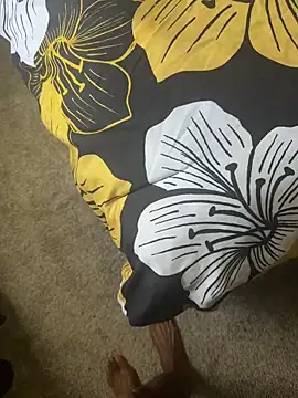 Big-dick_1 ওয়েবক্যাম শো