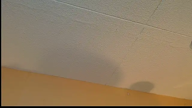 Anya_Volker Show in webcam