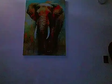 Chat XXX ao vivo de gabriel_spy12