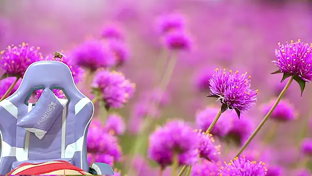 Chat +18 de the-girlorange07 ao vivo