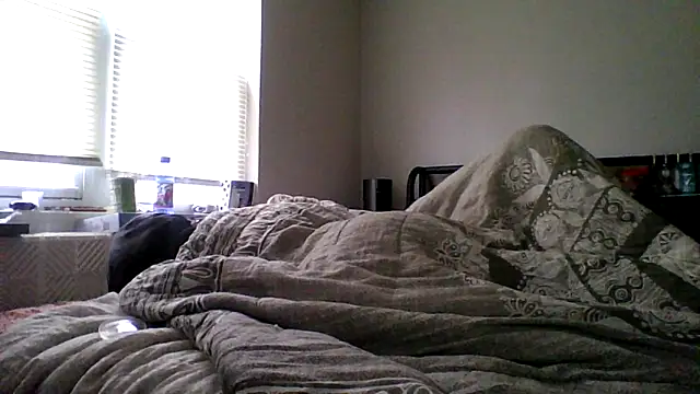 Show webcam de dezzidavill