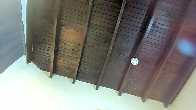 Babylattin Show in webcam