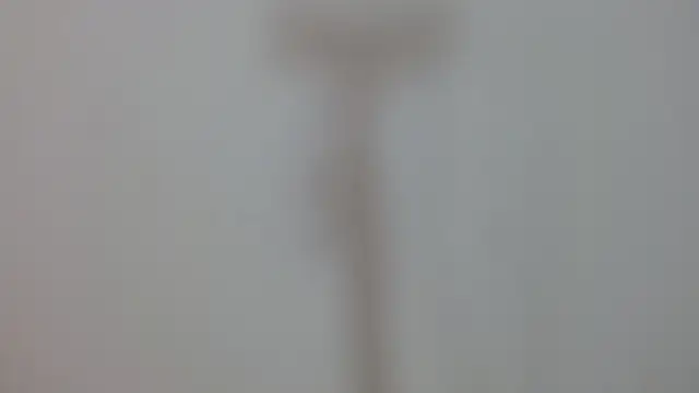 Iris_bloom69's Live XXX Chat