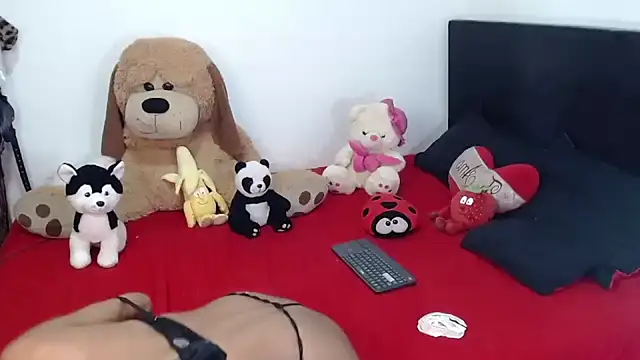 crss_2020のウェブカメラショー