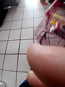 cicinha3657: вебкам-шоу