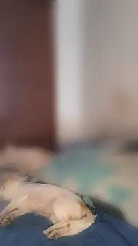 LondonHilton 라이브 XXX 채팅