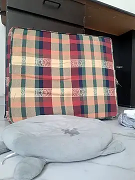 Ally-cutee Live XXX Chat