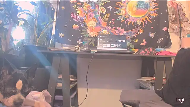 Chat XXX ao vivo de incognimeow