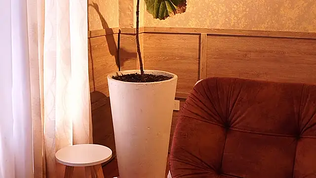 دردشة Ethan_occonor الجنسية المباشرة