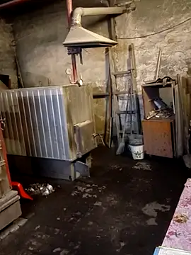 _uncle_Mitya-43_ webkamerás műsora