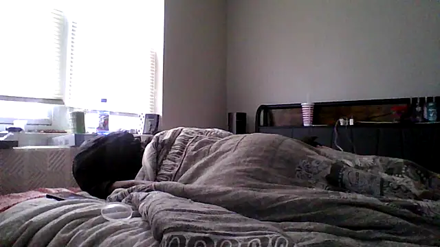 dezzidavill's Webcam Show