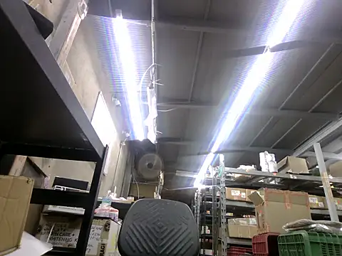 Živý XXX chat BustedCall