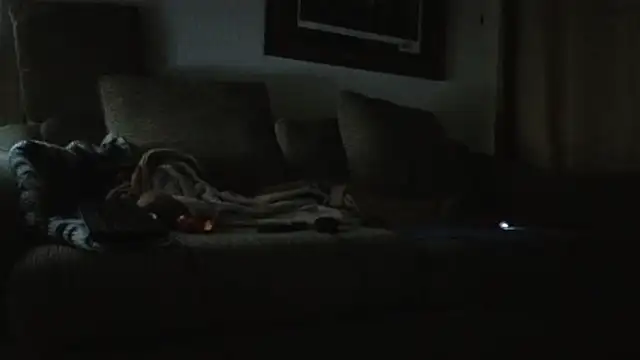 CDforU – Live XXX-chat