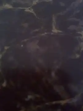 Show de webcam de gaticahottboom