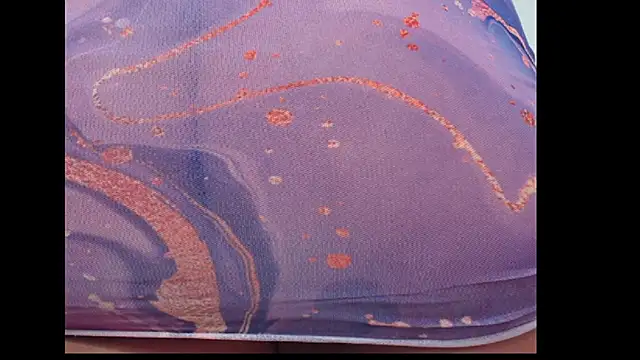 Ashley_Spicy Live XXX-chat