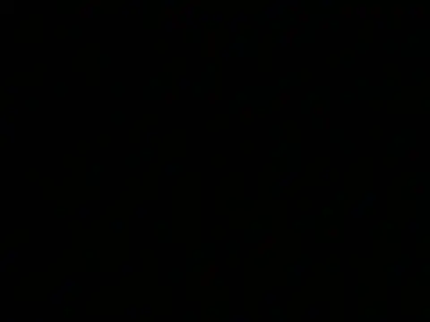 omonakaのウェブカメラショー