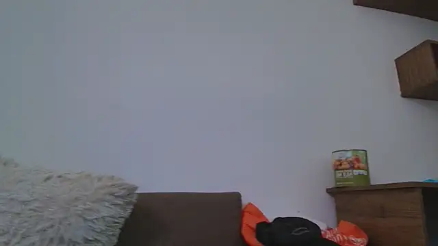 Chatroom XXX en direct de thomas_gun