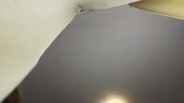 curiosillo83のウェブカメラショー