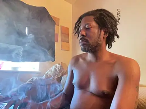 Show webcam de viceutk1